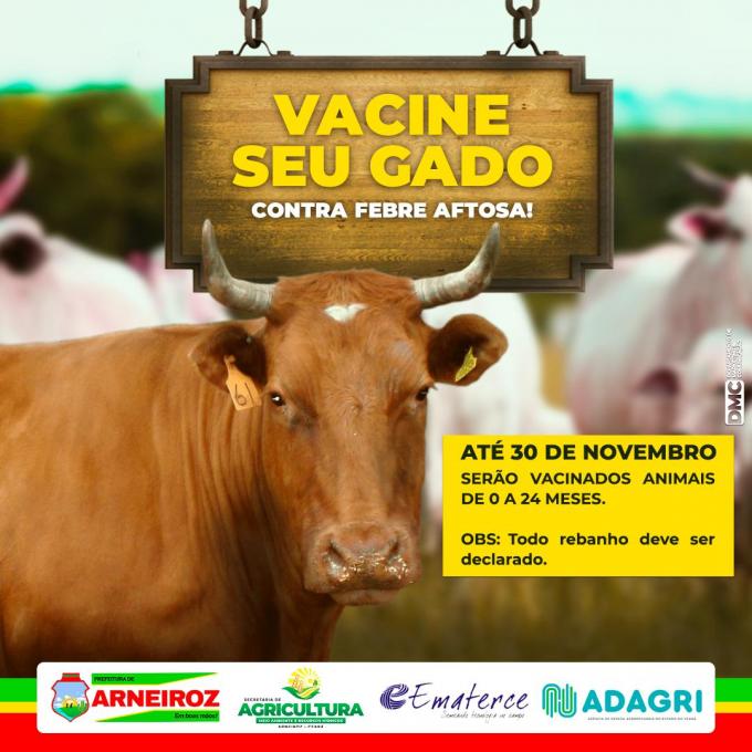 Campanha de Vacinação Contra Febre Aftosa