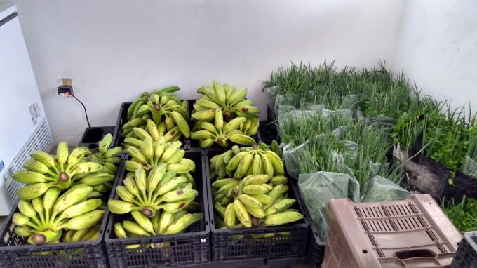 Programa de Aquisição de Alimentos – PAA